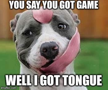 Got tongue | YOU SAY YOU GOT GAME; WELL I GOT TONGUE | image tagged in tongue,dogs,game | made w/ Imgflip meme maker