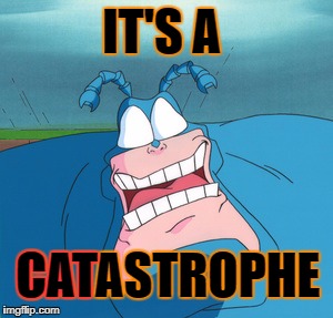 IT'S A CATASTROPHE CAT | made w/ Imgflip meme maker
