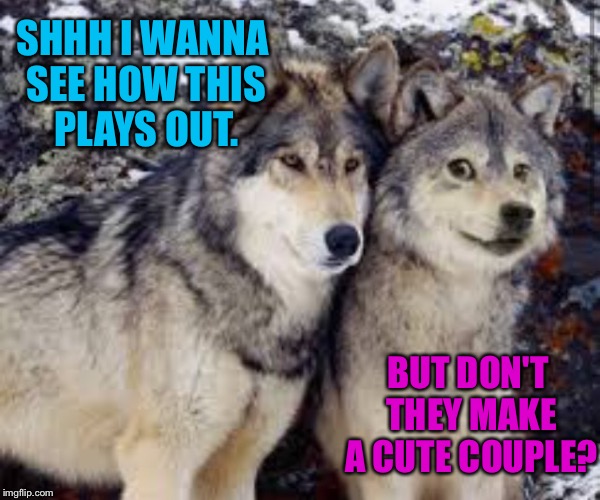 SHHH I WANNA SEE HOW THIS PLAYS OUT. BUT DON'T THEY MAKE A CUTE COUPLE? | made w/ Imgflip meme maker