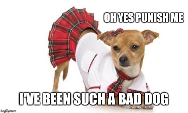 OH YES PUNISH ME I'VE BEEN SUCH A BAD DOG | made w/ Imgflip meme maker