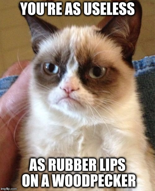Grumpy Cat | YOU'RE AS USELESS; AS RUBBER LIPS ON A WOODPECKER | image tagged in memes,grumpy cat | made w/ Imgflip meme maker