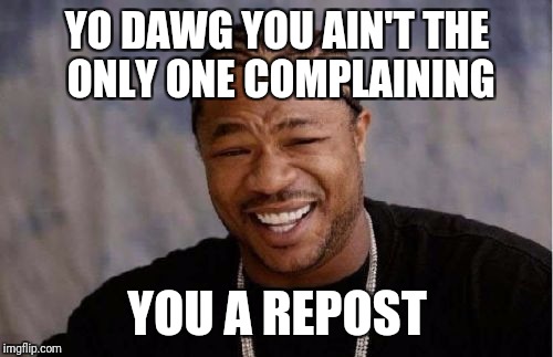 YO DAWG YOU AIN'T THE ONLY ONE COMPLAINING YOU A REPOST | image tagged in memes,yo dawg heard you | made w/ Imgflip meme maker