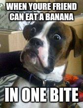 Dogs | WHEN YOURE FRIEND CAN EAT A BANANA; IN ONE BITE | image tagged in dogs | made w/ Imgflip meme maker