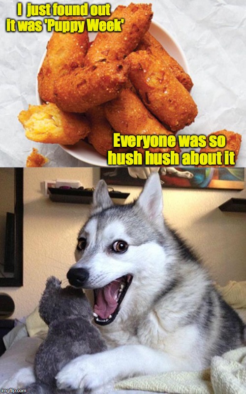 Forgive me | I  just found out it was 'Puppy Week'; Everyone was so hush hush about it | image tagged in hush puppy,puppy week,bad pun | made w/ Imgflip meme maker