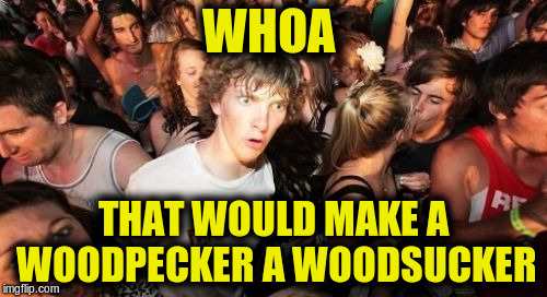 WHOA THAT WOULD MAKE A WOODPECKER A WOODSUCKER | made w/ Imgflip meme maker