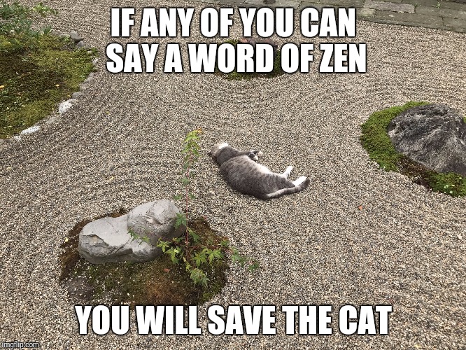 IF ANY OF YOU CAN SAY A WORD OF ZEN YOU WILL SAVE THE CAT | made w/ Imgflip meme maker