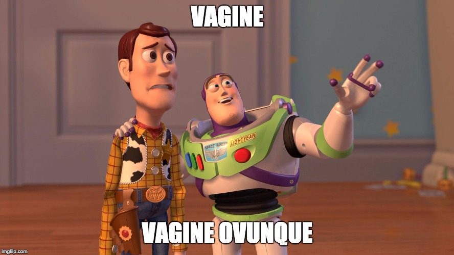 Woody and Buzz Lightyear Everywhere Widescreen |  VAGINE; VAGINE OVUNQUE | image tagged in woody and buzz lightyear everywhere widescreen | made w/ Imgflip meme maker