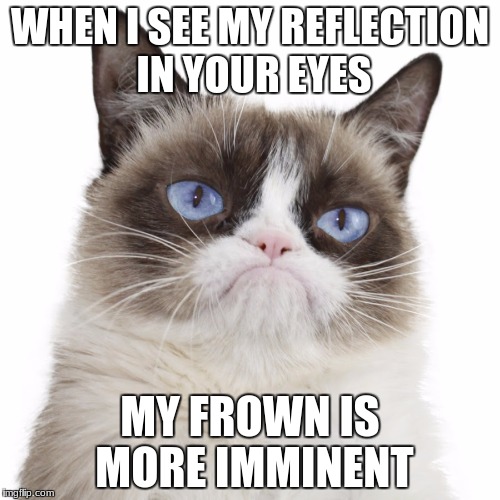 Grumpy Cat Uses A Big Word | WHEN I SEE MY REFLECTION IN YOUR EYES; MY FROWN IS MORE IMMINENT | image tagged in grumpy cat not amused | made w/ Imgflip meme maker