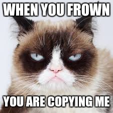 Trademark Frown | WHEN YOU FROWN; YOU ARE COPYING ME | image tagged in grumpy cat does not believe | made w/ Imgflip meme maker