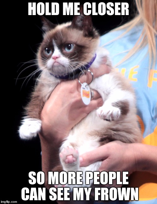 #ToughLove | HOLD ME CLOSER; SO MORE PEOPLE CAN SEE MY FROWN | image tagged in grumpy cat | made w/ Imgflip meme maker