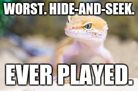 #LizardIsBlind | WORST. HIDE-AND-SEEK. EVER PLAYED. | image tagged in lizards,hide and seek | made w/ Imgflip meme maker