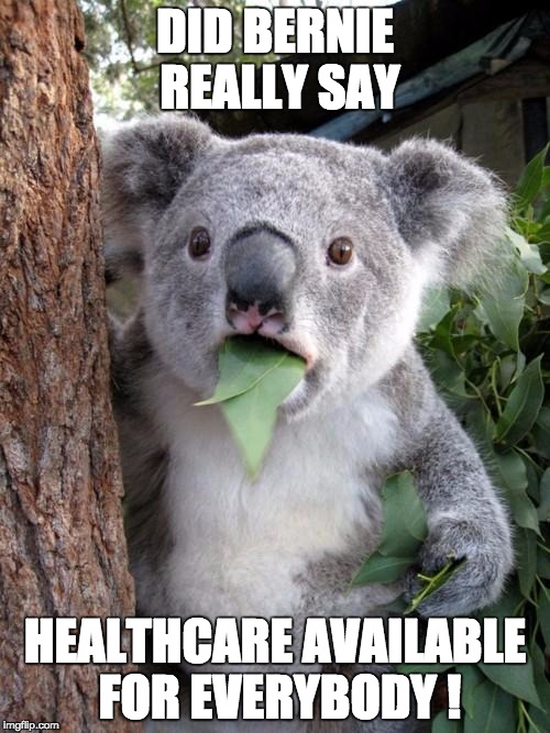 Surprised Koala Meme | DID BERNIE REALLY SAY; HEALTHCARE AVAILABLE FOR EVERYBODY ! | image tagged in memes,surprised koala | made w/ Imgflip meme maker