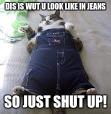 DIS IS WUT U LOOK LIKE IN JEANS; SO JUST SHUT UP! | image tagged in funny memes | made w/ Imgflip meme maker