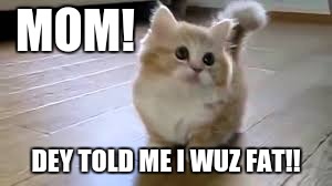 MOM! DEY TOLD ME I WUZ FAT!! | image tagged in funny memes | made w/ Imgflip meme maker