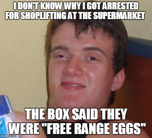 10 Guy | I DON'T KNOW WHY I GOT ARRESTED FOR SHOPLIFTING AT THE SUPERMARKET; THE BOX SAID THEY WERE "FREE RANGE EGGS" | image tagged in memes,10 guy | made w/ Imgflip meme maker