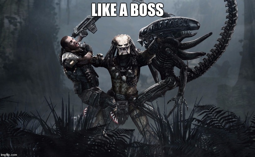 AVP Now Kiss | LIKE A BOSS | image tagged in avp now kiss | made w/ Imgflip meme maker