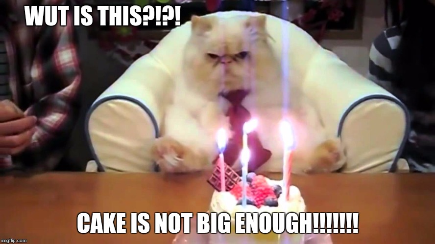 WUT IS THIS?!?! CAKE IS NOT BIG ENOUGH!!!!!!! | image tagged in funny memes | made w/ Imgflip meme maker