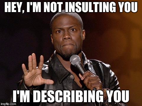 kevin hart | HEY, I'M NOT INSULTING YOU; I'M DESCRIBING YOU | image tagged in kevin hart | made w/ Imgflip meme maker