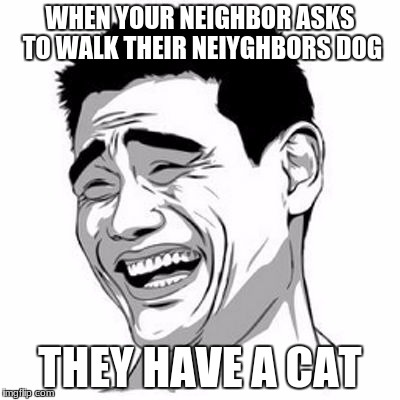 yeet | WHEN YOUR NEIGHBOR ASKS TO WALK THEIR NEIYGHBORS DOG; THEY HAVE A CAT | image tagged in yeet | made w/ Imgflip meme maker