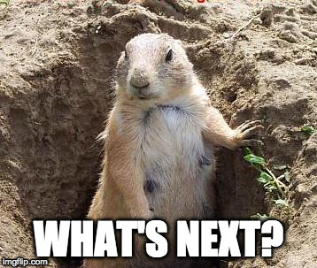 WHAT'S NEXT? | image tagged in next | made w/ Imgflip meme maker
