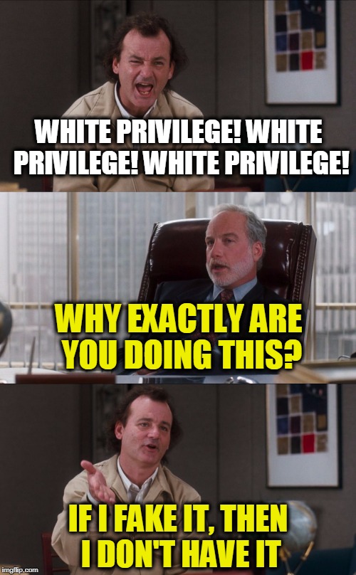 Why Exactly? | WHITE PRIVILEGE! WHITE PRIVILEGE! WHITE PRIVILEGE! WHY EXACTLY ARE YOU DOING THIS? IF I FAKE IT, THEN I DON'T HAVE IT | image tagged in bill murray fake it | made w/ Imgflip meme maker
