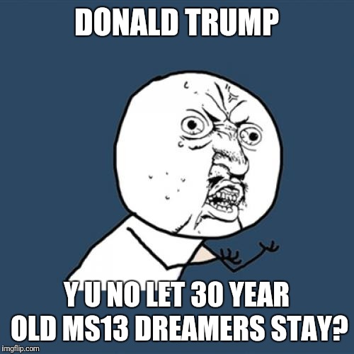 Y U No | DONALD TRUMP; Y U NO LET 30 YEAR OLD MS13 DREAMERS STAY? | image tagged in memes,y u no | made w/ Imgflip meme maker