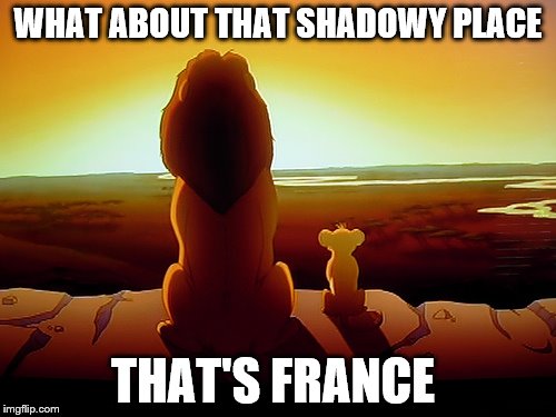 Lion King Meme | WHAT ABOUT THAT SHADOWY PLACE; THAT'S FRANCE | image tagged in memes,lion king | made w/ Imgflip meme maker