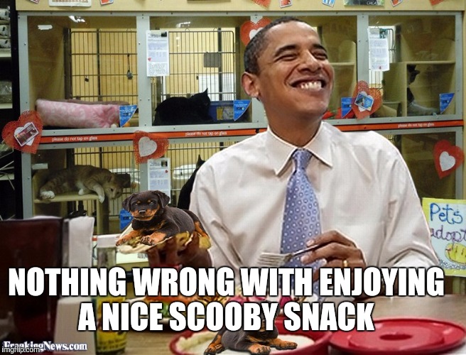 NOTHING WRONG WITH ENJOYING A NICE SCOOBY SNACK | made w/ Imgflip meme maker
