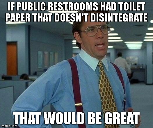 this is disgusting | IF PUBLIC RESTROOMS HAD TOILET PAPER THAT DOESN'T DISINTEGRATE; THAT WOULD BE GREAT | image tagged in memes,that would be great,toilet,paper,toilet paper,bathroom | made w/ Imgflip meme maker