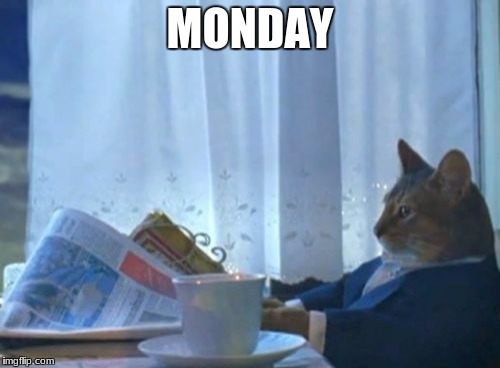 I Should Buy A Boat Cat | MONDAY | image tagged in memes,i should buy a boat cat | made w/ Imgflip meme maker