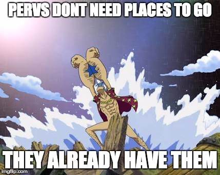 Franky One Piece | PERVS DONT NEED PLACES TO GO; THEY ALREADY HAVE THEM | image tagged in franky one piece | made w/ Imgflip meme maker