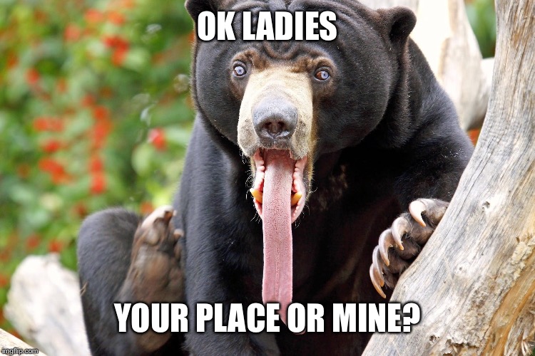 OK LADIES YOUR PLACE OR MINE? | made w/ Imgflip meme maker