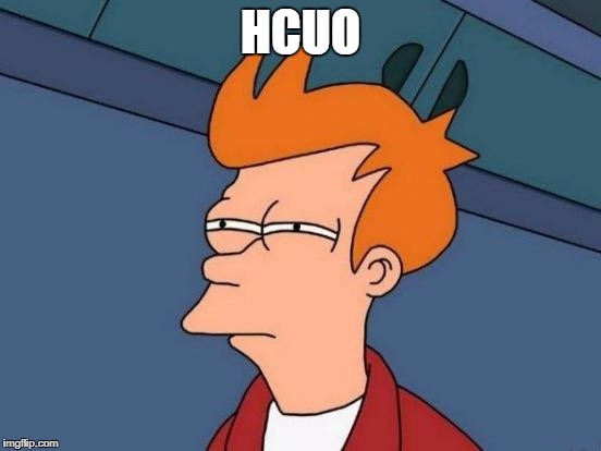 Fry Mirrored | HCUO | image tagged in fry mirrored | made w/ Imgflip meme maker