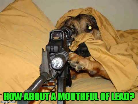 Sniper Dog | HOW ABOUT A MOUTHFUL OF LEAD? | image tagged in sniper dog | made w/ Imgflip meme maker