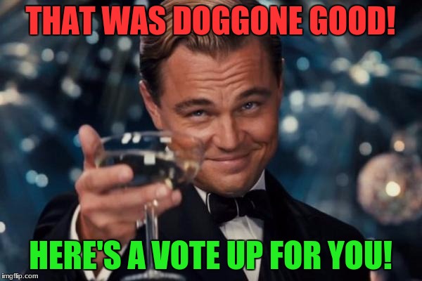 Leonardo Dicaprio Cheers Meme | THAT WAS DOGGONE GOOD! HERE'S A VOTE UP FOR YOU! | image tagged in memes,leonardo dicaprio cheers | made w/ Imgflip meme maker