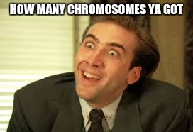 CHROMOSOMES | HOW MANY CHROMOSOMES YA GOT | image tagged in hillary clinton | made w/ Imgflip meme maker