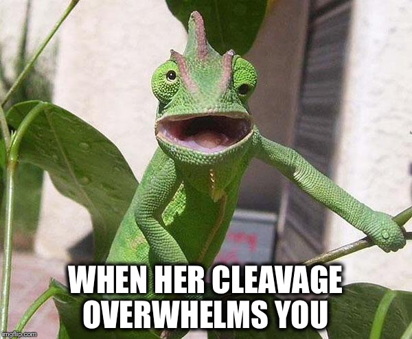 I'm overwhelmed  | WHEN HER CLEAVAGE OVERWHELMS YOU | image tagged in crazy chameleon,overwhelmed | made w/ Imgflip meme maker