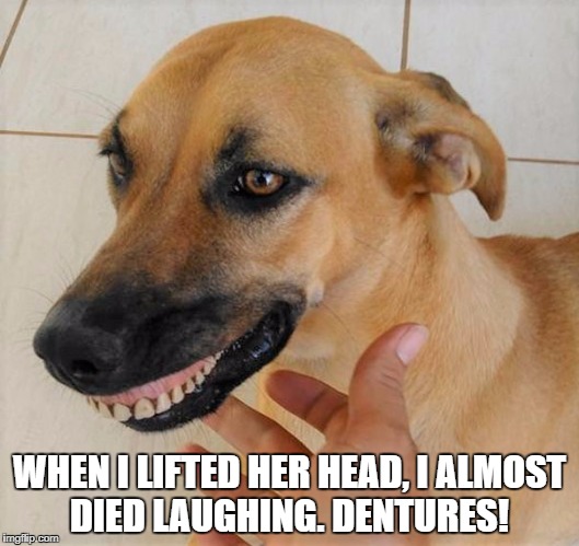 WHEN I LIFTED HER HEAD, I ALMOST DIED LAUGHING. DENTURES! | image tagged in jeri | made w/ Imgflip meme maker