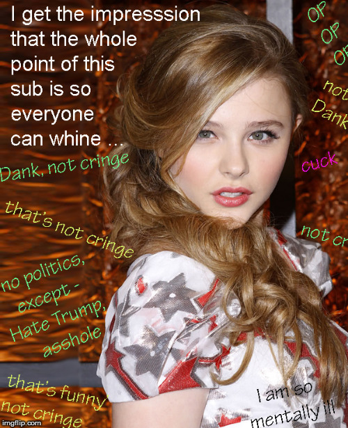 Ever post on a "Cringe" or "Dank" sub/ site ? | image tagged in cringe worthy,dank memes,funny memes,chloe grace moretz,hot babes,lol | made w/ Imgflip meme maker