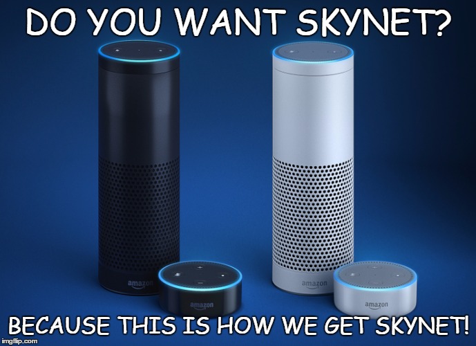 DO YOU WANT SKYNET? BECAUSE THIS IS HOW WE GET SKYNET! | image tagged in alexa | made w/ Imgflip meme maker