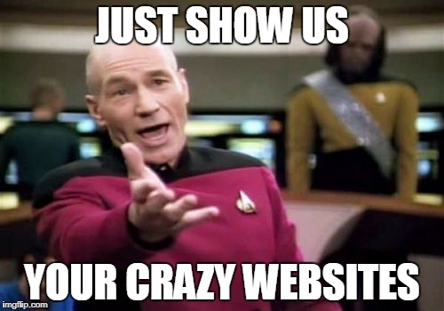 Picard Wtf Meme | JUST SHOW US; YOUR CRAZY WEBSITES | image tagged in memes,picard wtf | made w/ Imgflip meme maker