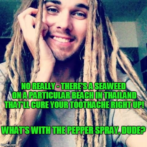 NO REALLY - THERE'S A SEAWEED ON A PARTICULAR BEACH IN THAILAND THAT'LL CURE YOUR TOOTHACHE RIGHT UP! WHAT'S WITH THE PEPPER SPRAY, DUDE? | made w/ Imgflip meme maker