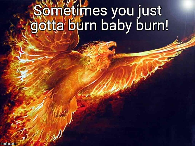 Sometimes you just gotta burn baby burn! | made w/ Imgflip meme maker