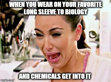 Kim Kardashian | WHEN YOU WEAR ON YOUR FAVORITE LONG SLEEVE TO BIOLOGY; AND CHEMICALS GET INTO IT | image tagged in kim kardashian | made w/ Imgflip meme maker