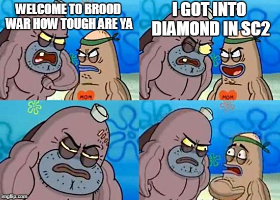 Welcome to the Salty Spitoon | I GOT INTO DIAMOND IN SC2; WELCOME TO BROOD WAR
HOW TOUGH ARE YA | image tagged in welcome to the salty spitoon | made w/ Imgflip meme maker