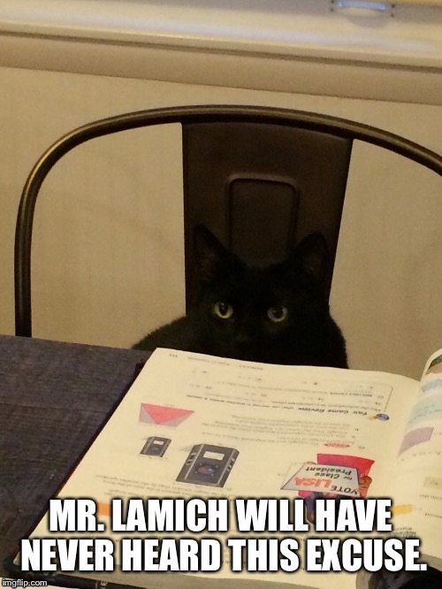MR. LAMICH WILL HAVE NEVER HEARD THIS EXCUSE. | image tagged in math,math teacher,cats | made w/ Imgflip meme maker