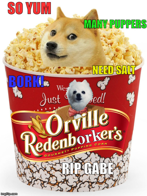 SO YUM; MANY PUPPERS; NEED SALT; BORK! RIP GABE | image tagged in pupcorn | made w/ Imgflip meme maker
