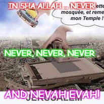 IN SHA ALLAH ... NEVER! NEVER, NEVER, NEVER; AND NEVAH EVAH! | made w/ Imgflip meme maker