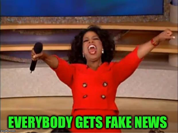 Oprah You Get A Meme | EVERYBODY GETS FAKE NEWS | image tagged in memes,oprah you get a | made w/ Imgflip meme maker