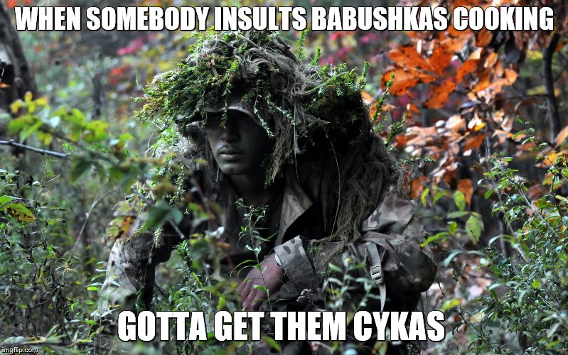 camouflage | WHEN SOMEBODY INSULTS BABUSHKAS COOKING; GOTTA GET THEM CYKAS | image tagged in camouflage | made w/ Imgflip meme maker
